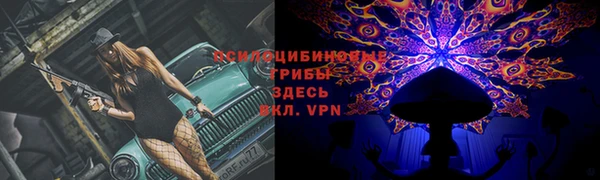 спиды Гусь-Хрустальный