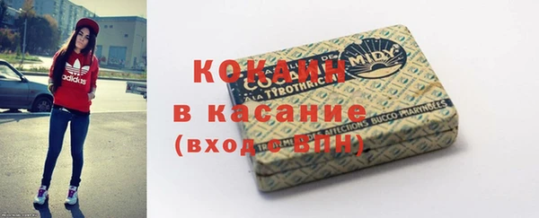 шишки Дмитровск