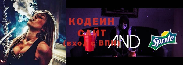 шишки Дмитровск