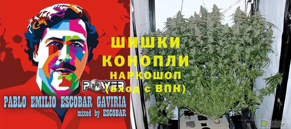 гашиш Гусев