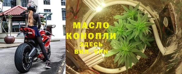 амф Дмитров