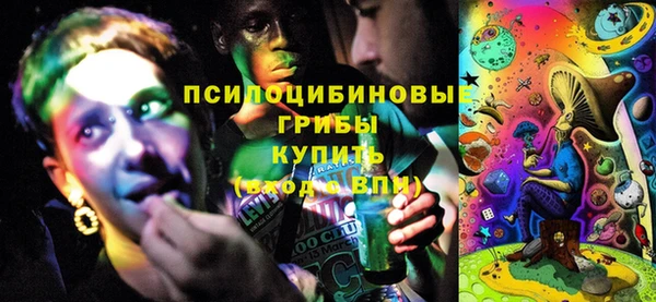 шишки Дмитровск