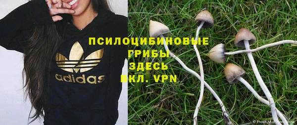 амф Дмитров