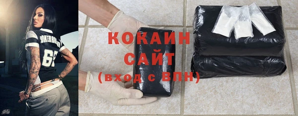 шишки Дмитровск